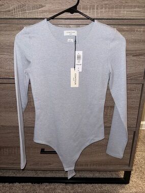 Aritzia Contour Heather Chrome Crew Neck Bodysuit